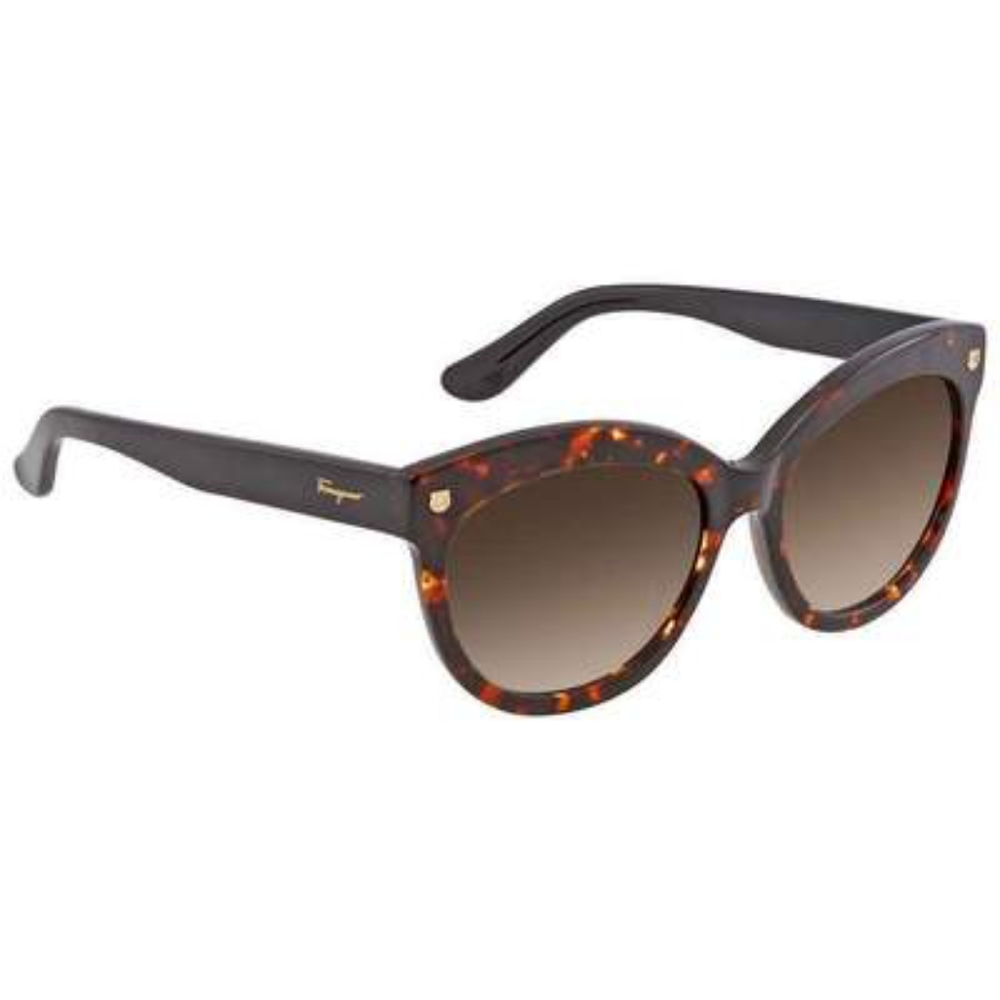 Salvatore Ferragamo Sunglasses